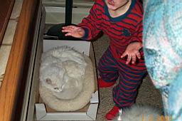 DCP_2355-Tyler found Fluffy.JPG